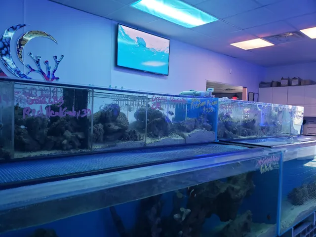 Pacific East Aquaculture