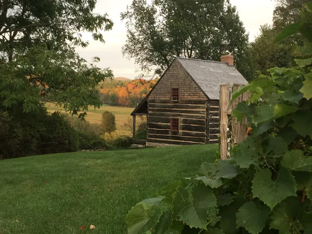 South Dominion Vineyard