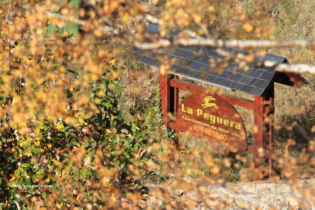 Apartaments La Peguera II - Barruera