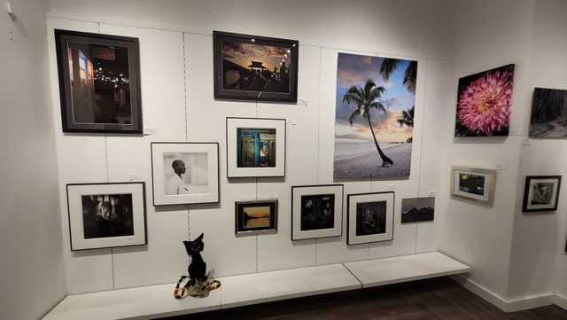 COCO Art Gallery Naples