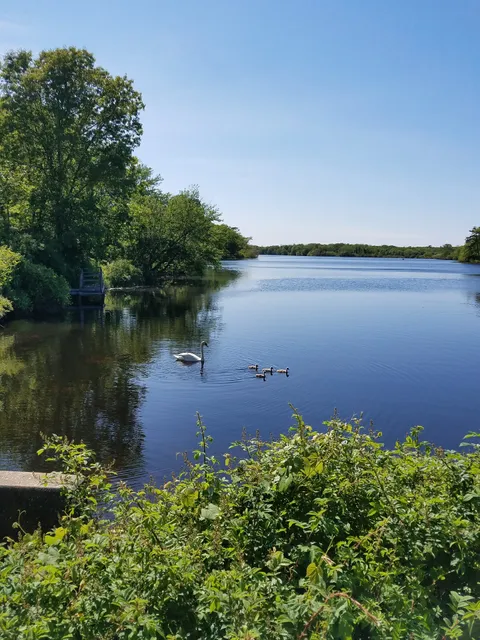 Peconic Bog County Park