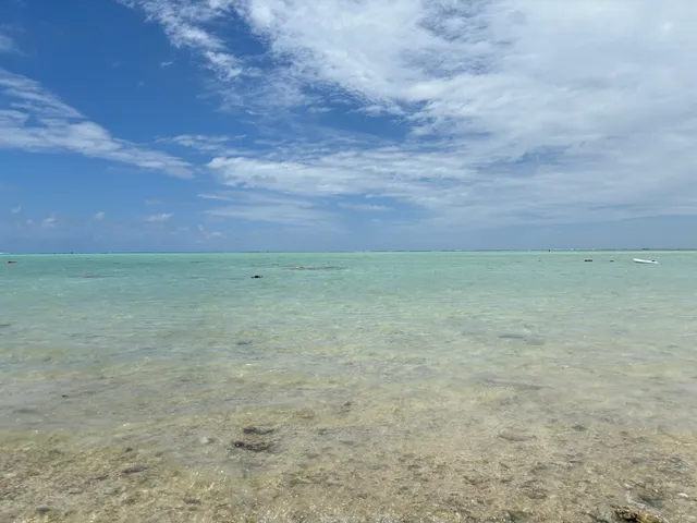 Yurigahama Beach Glass Boat Business Association.