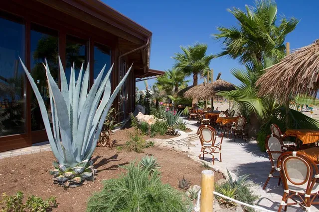 Oasis Beach Hotel Vieste