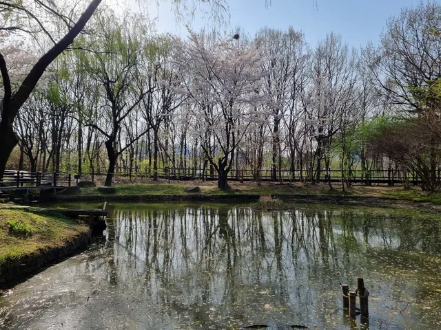 Yeouido Park Natural Eco Forest