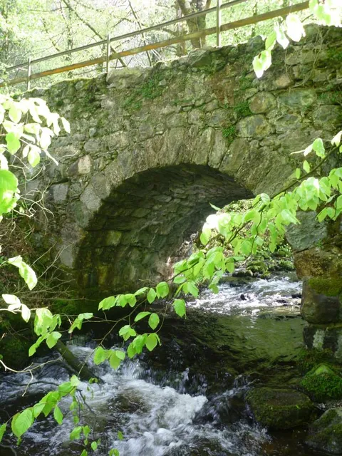 Bryn Y Gwin Farm Caravan & Campsite, Gallery and Fishing Lake