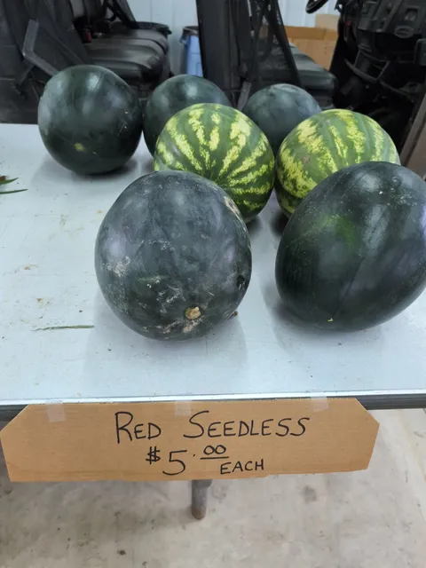 Dafforn's Sweet Corn