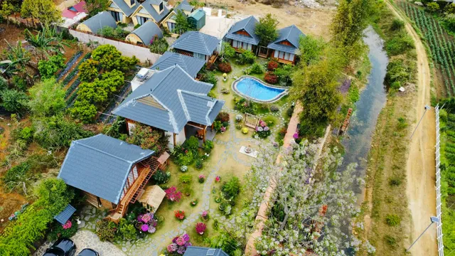 Dạ Yến Thảo Homestay