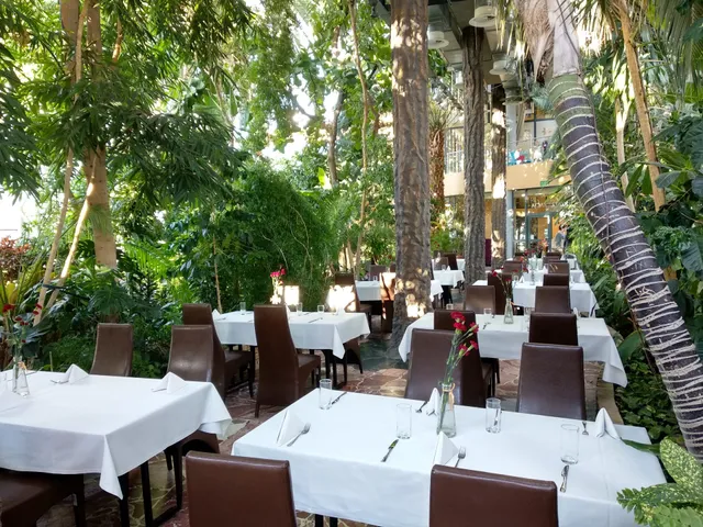 Restauracja Palmiarnia