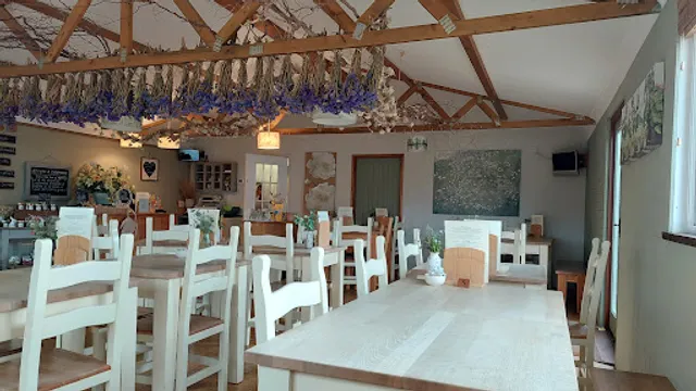 New Forest Lavender Tea Room