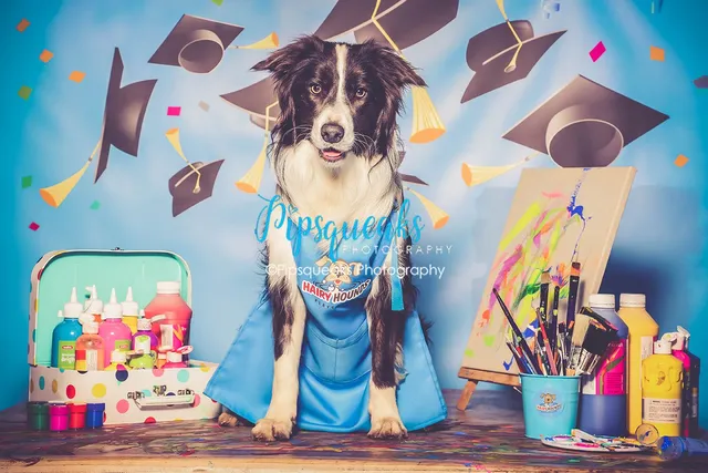 Hairy Hounds Playground