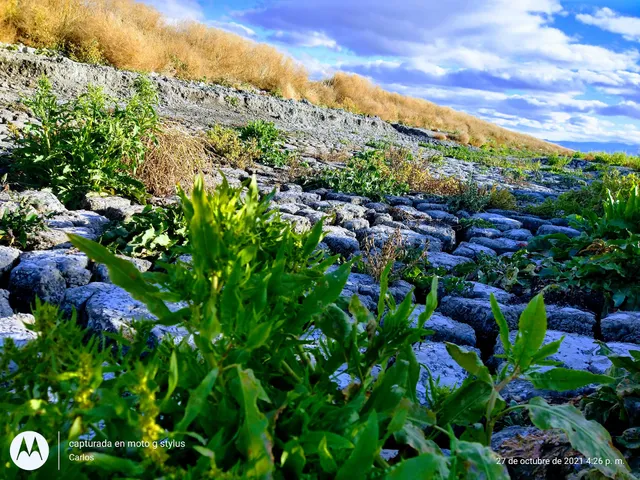 Tule Lake National Monument