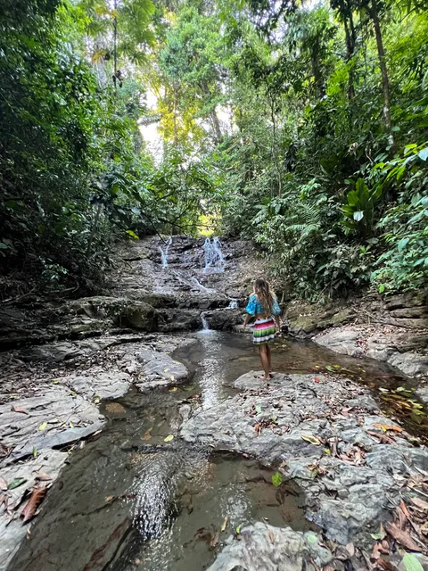 La Joya Del Sol - Permaculture Organic Farm and Raw Food Kitchen Lab