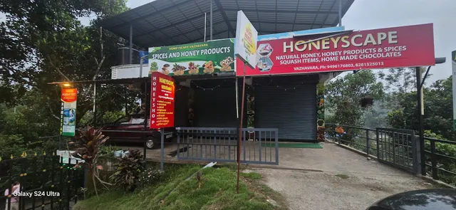 Tranquil Meadows Hues Kattappana