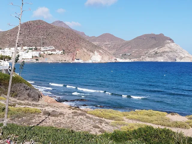 San José' Tobacco Shop