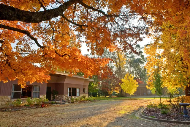Buffalo Motel and Country Retreat
