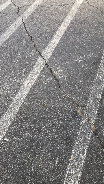 Lee Harvard Shopping Center