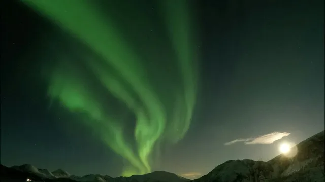 Green Crow Adventures