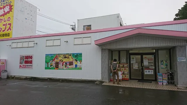 おかしのチップス岡崎大樹寺店