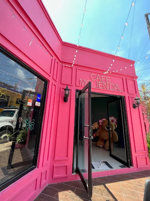 Café Molienda Arte Floral