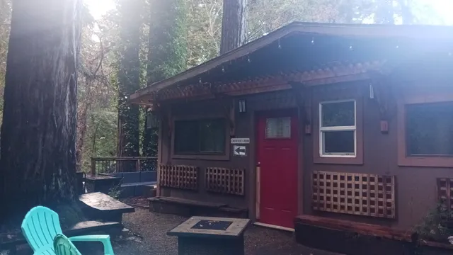 Cabin in the woods
