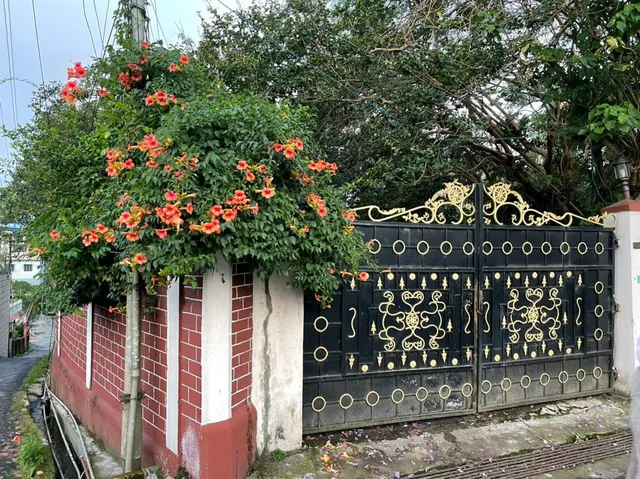 Tiggi's iing Heritage Homestay