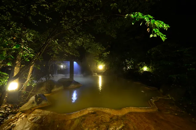 Shinseikan ryokan Ukenokuchi onsen