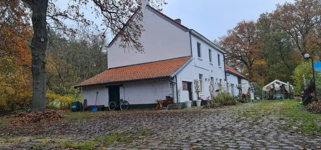 Het vliegend varken slaaphuisje en atelier.