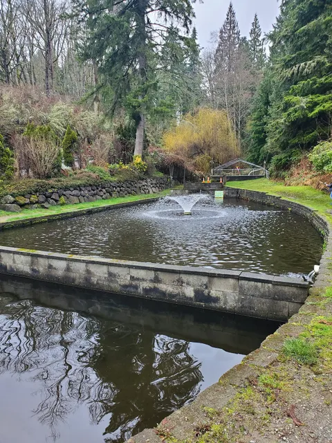 Gold Creek Trout Farm