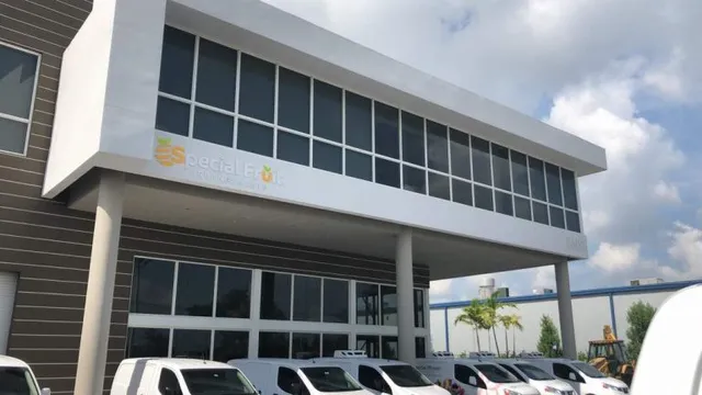 Special Fruit Arrangements