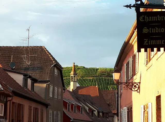 Gîtes et chambres d'hôtes Meyer-Liss