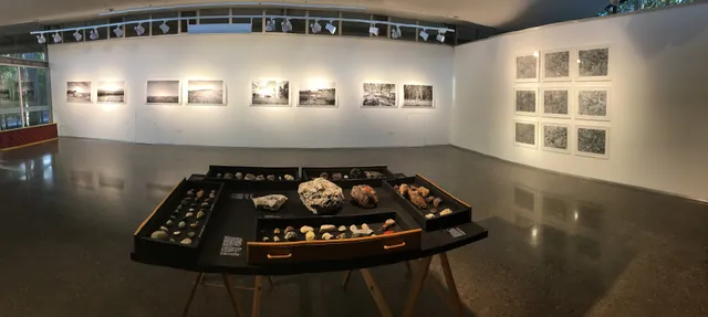 The University Gallery