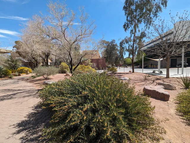 Baepler Xeric Garden