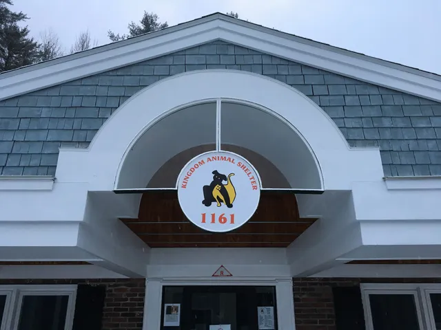 Kingdom Animal Shelter just for cats