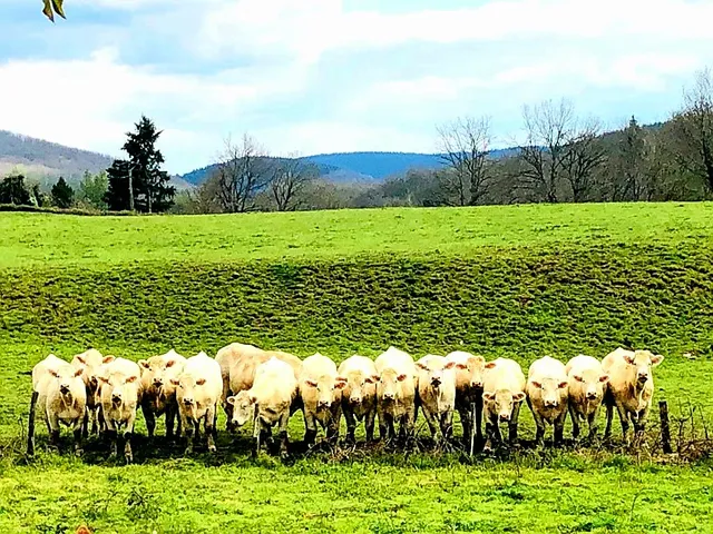 La maison du bonheur