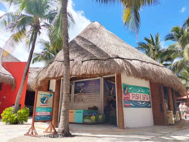 Fish Spa Costa Maya