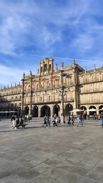 Alojamientos Willmark