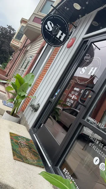 The Succulent Hippie