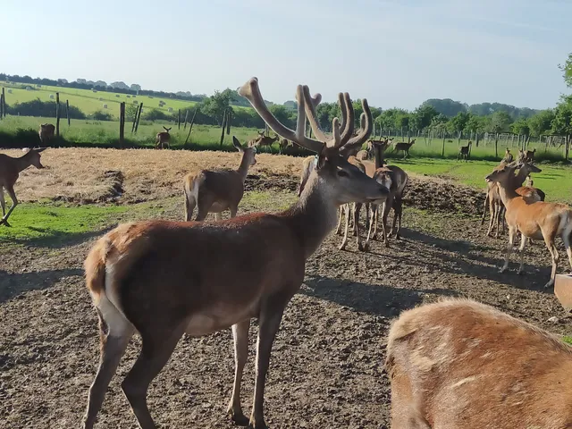 La Ferme de l'Étang