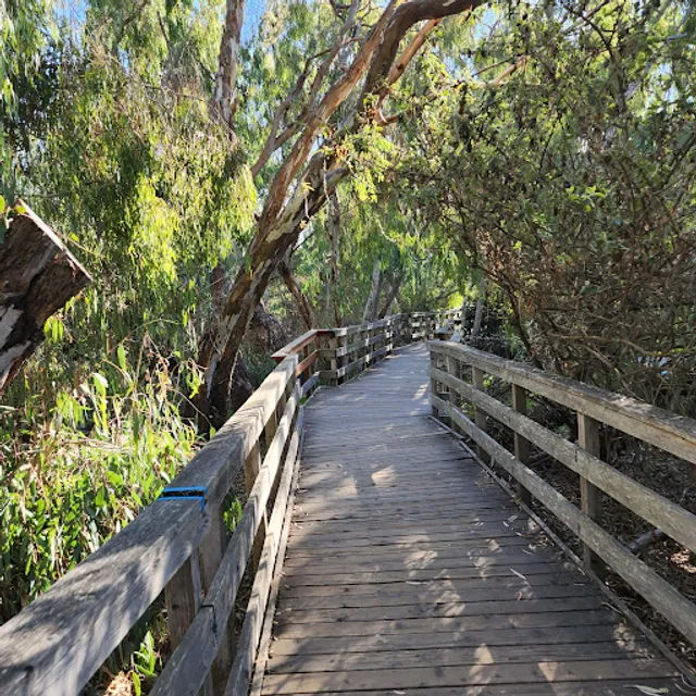 Natural Bridges Monarch Trail
