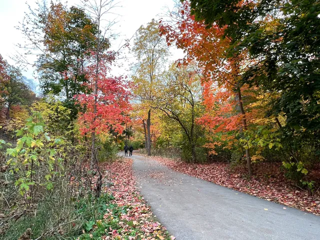 Cooksville Creek Trail