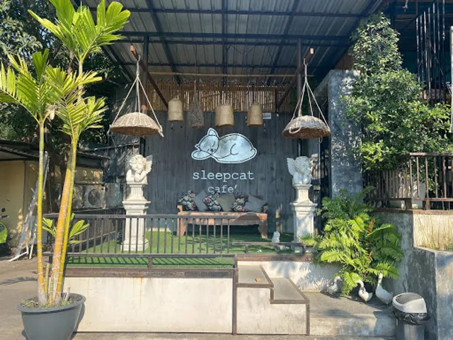 Sleepcat cafe' & Pizza Steak Pasta Wine Beer