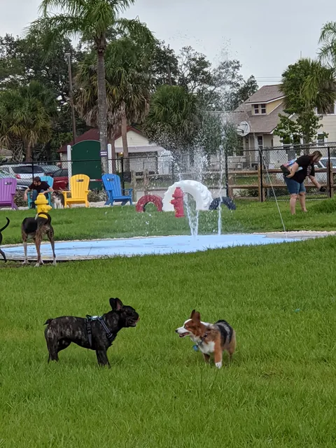 Pieloch Dog Park