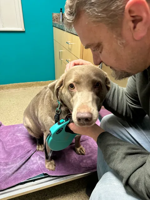 Concord Chapel Animal Hospital