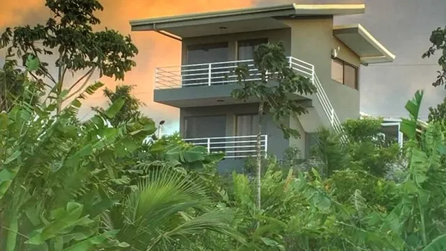 The Fruit Tree Garden