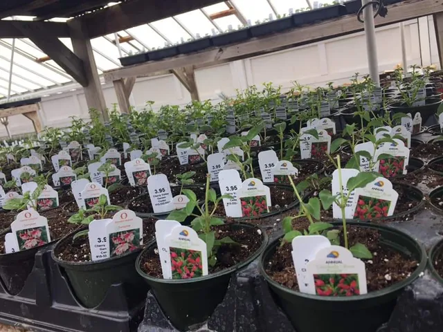 Cherry Valley Garden Center