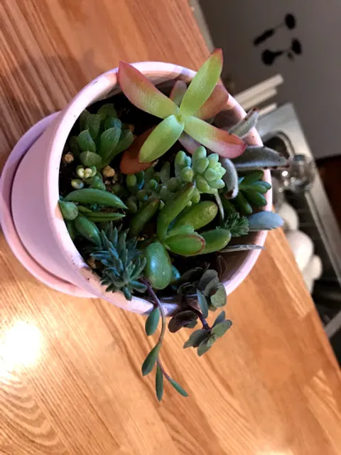 カフェちょこっと