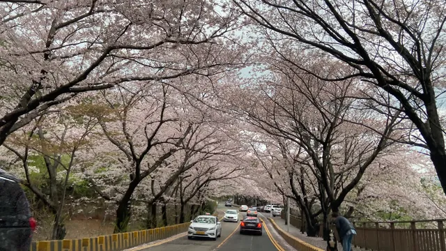 해운대 달맞이길