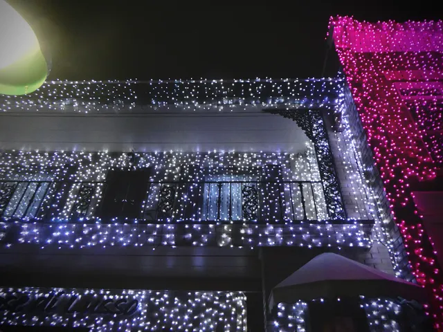 Rochester Downtown Development