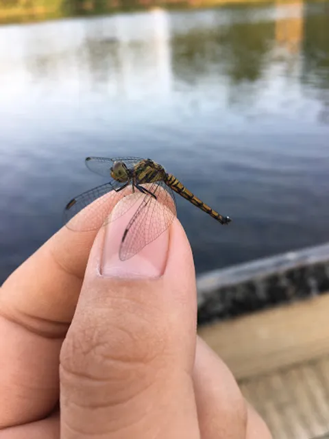 Quán Cookies Coffee