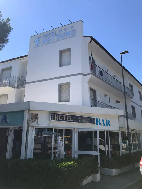 Hotel Nettuno Punta Marina